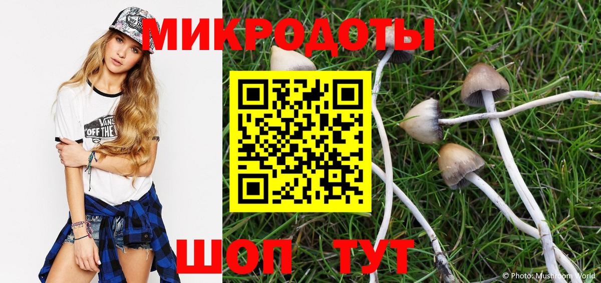 Галлюциногенные грибы прущие грибы Югорск